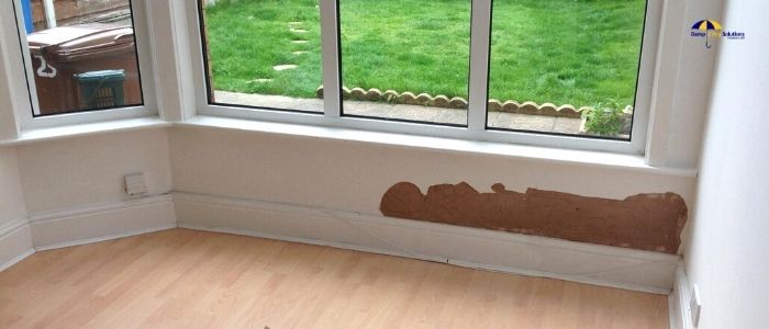 damp problems emerging in your property - Damp2Dry