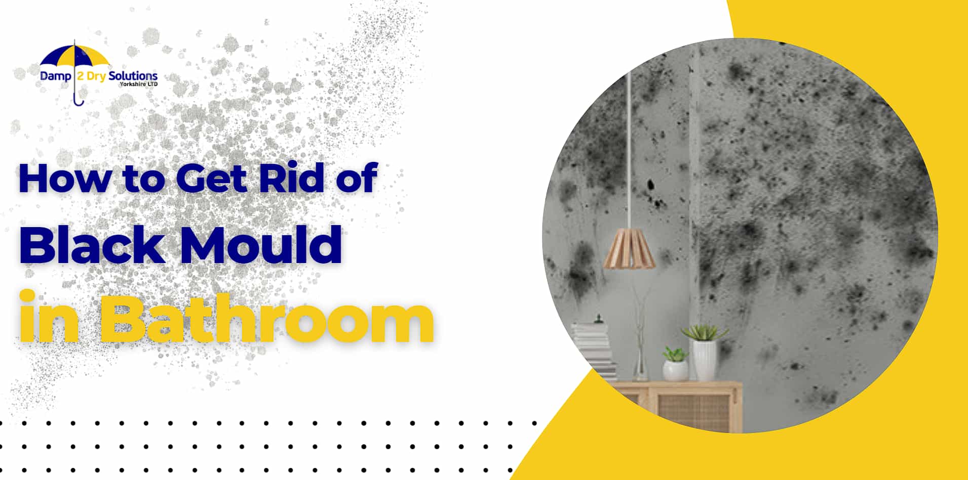 How to Get Rid of Black Mold in Bathrooms
