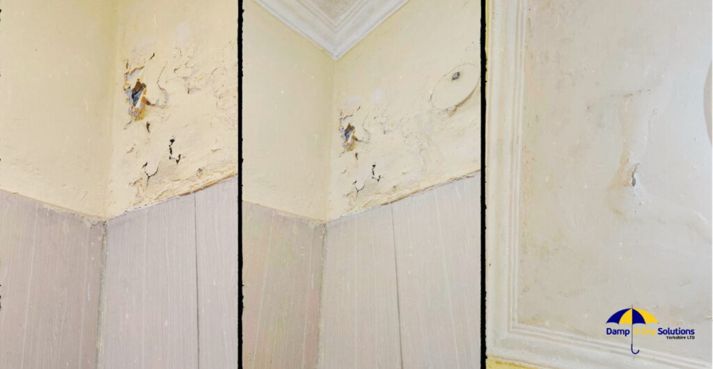 Reasons Behind Damp Walls