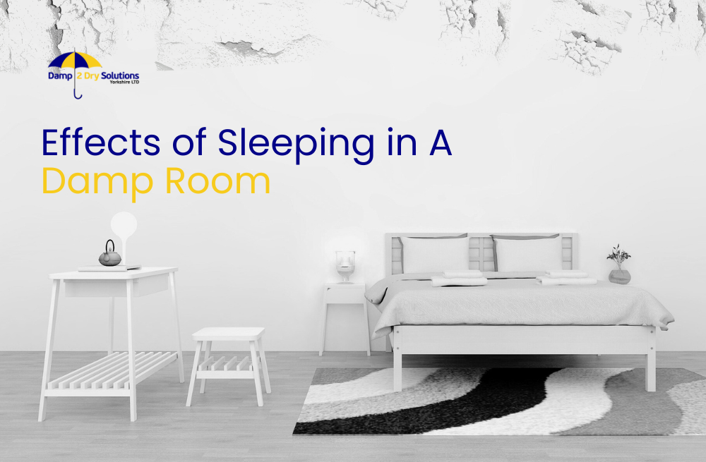 Effects Of Sleeping In A Damp Room The Terrible Risks