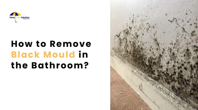 How To Get Rid Of Black Mould In Bathroom