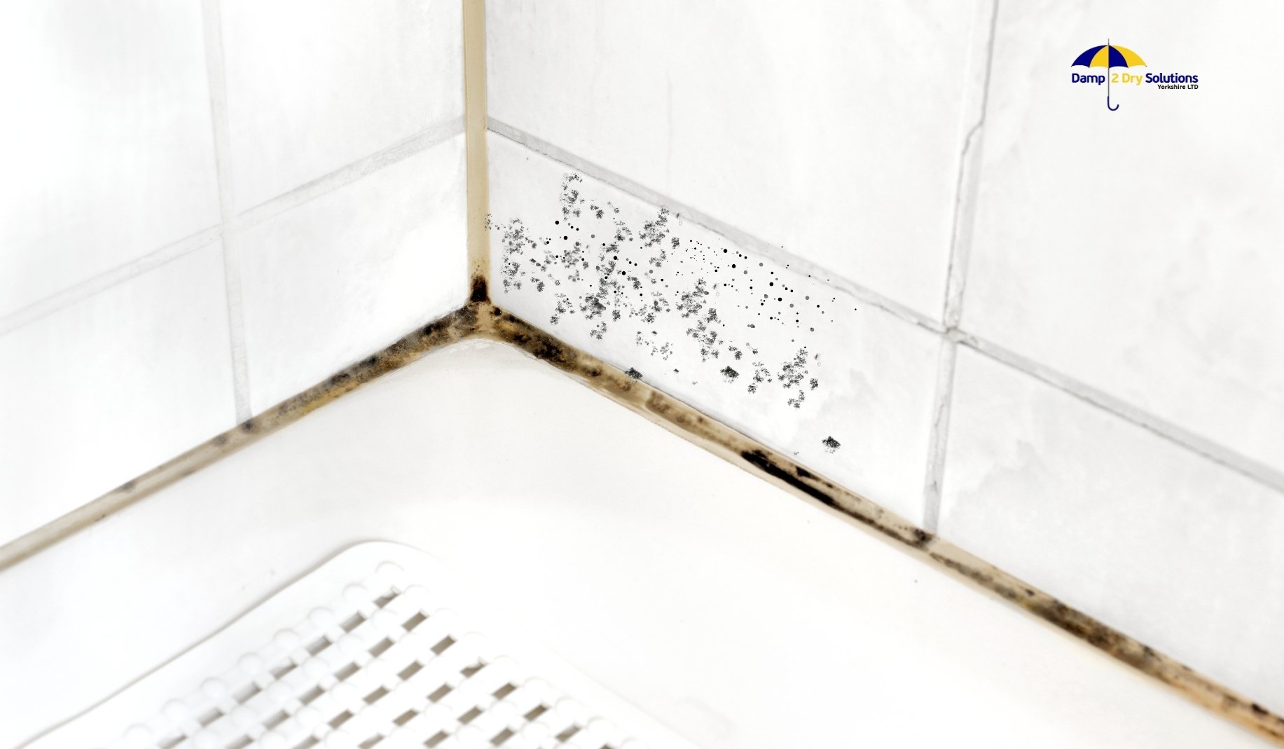 how-to-get-rid-of-black-mould-in-bathroom