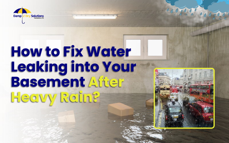 how-to-fix-water-leaking-into-your-basement-after-heavy-rain