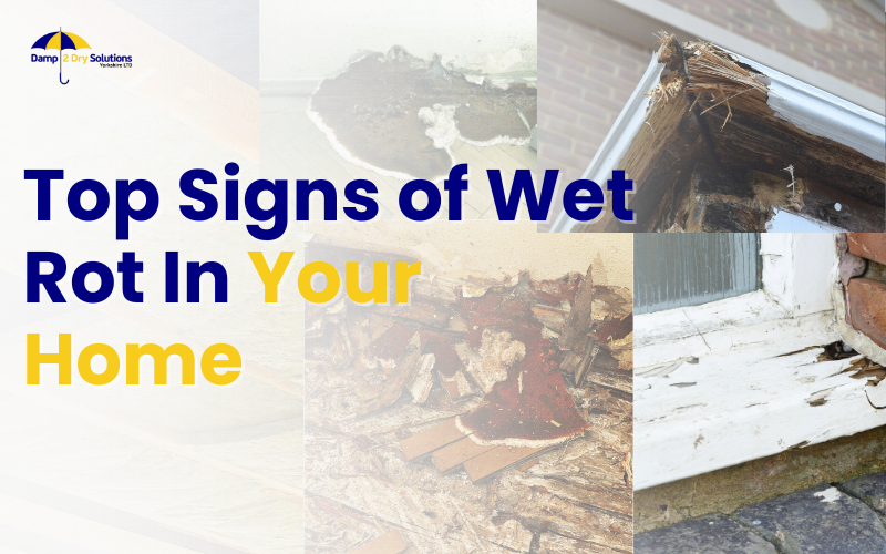 signs of wet rot damp2dry_solutions