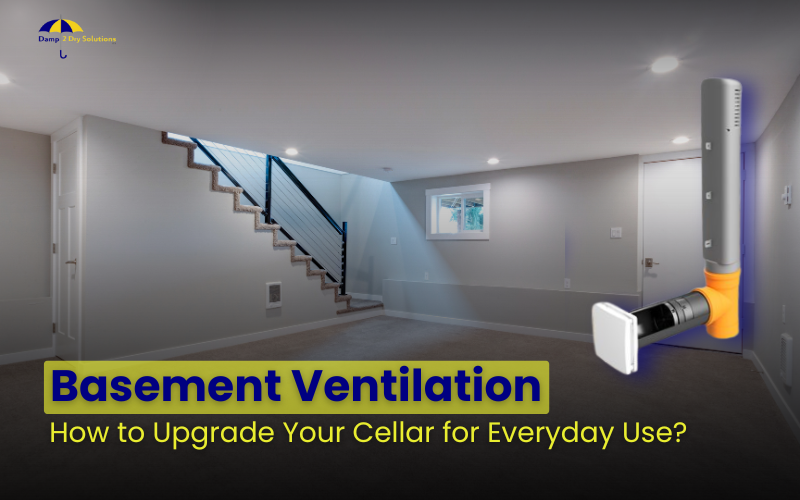 Basement Ventilation: How to Upgrade Your Celler for Everyday Use? post thumbnail image